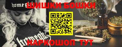 прущие грибы Гатчина