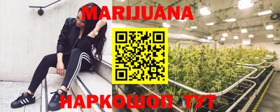 прущие грибы Гатчина