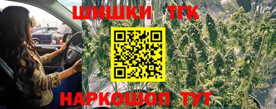 прущие грибы Гатчина