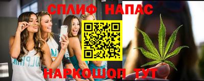 прущие грибы Гатчина