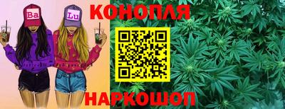 прущие грибы Гатчина