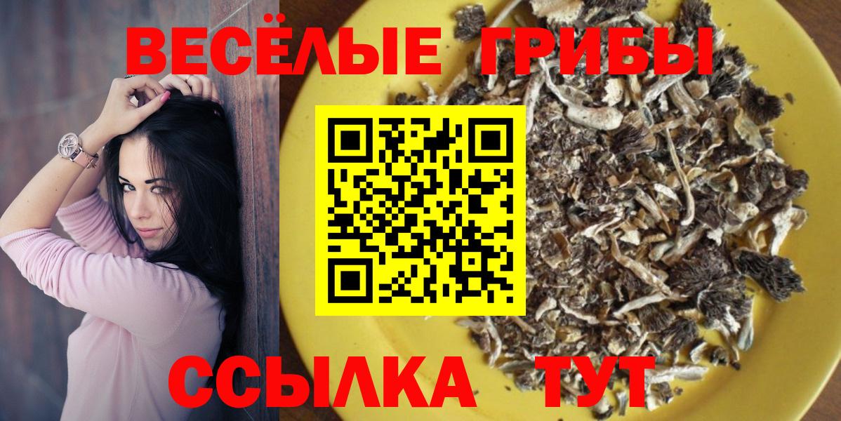 Галлюциногенные грибы Psilocybine cubensis  Галлюциногенные грибы Magic Shrooms  Вход с VPN  Новоуральск 